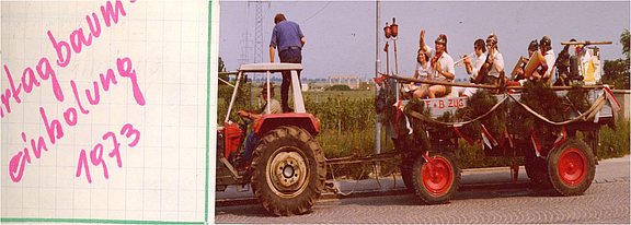 1973_Kirtagbaum Einholen.jpg