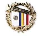 EhrennadelNOEBV-Gold.jpg